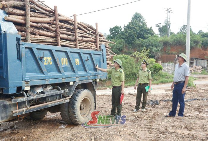 Cán bộ Hạt Kiểm lâm khu vực XI kiểm tra nguồn gốc lâm sản tại cơ sở chế biến gỗ.