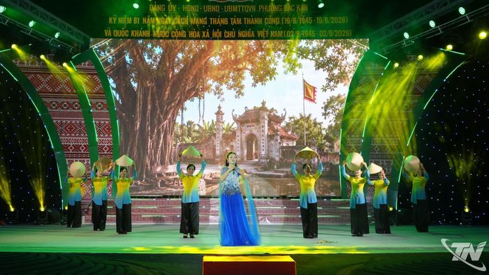 Ca sĩ Tân Nhàn biểu diễn tại phố đi bộ Sông Cầu.