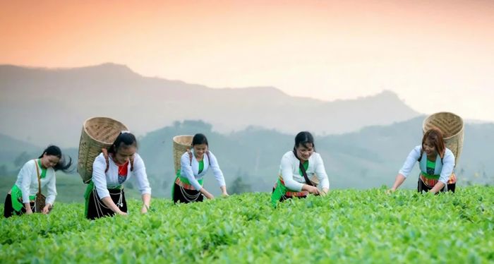 Tổng doanh thu từ dịch vụ du lịch trong 5 ngày nghỉ lễ ước đạt khoảng 370 tỷ đồng.