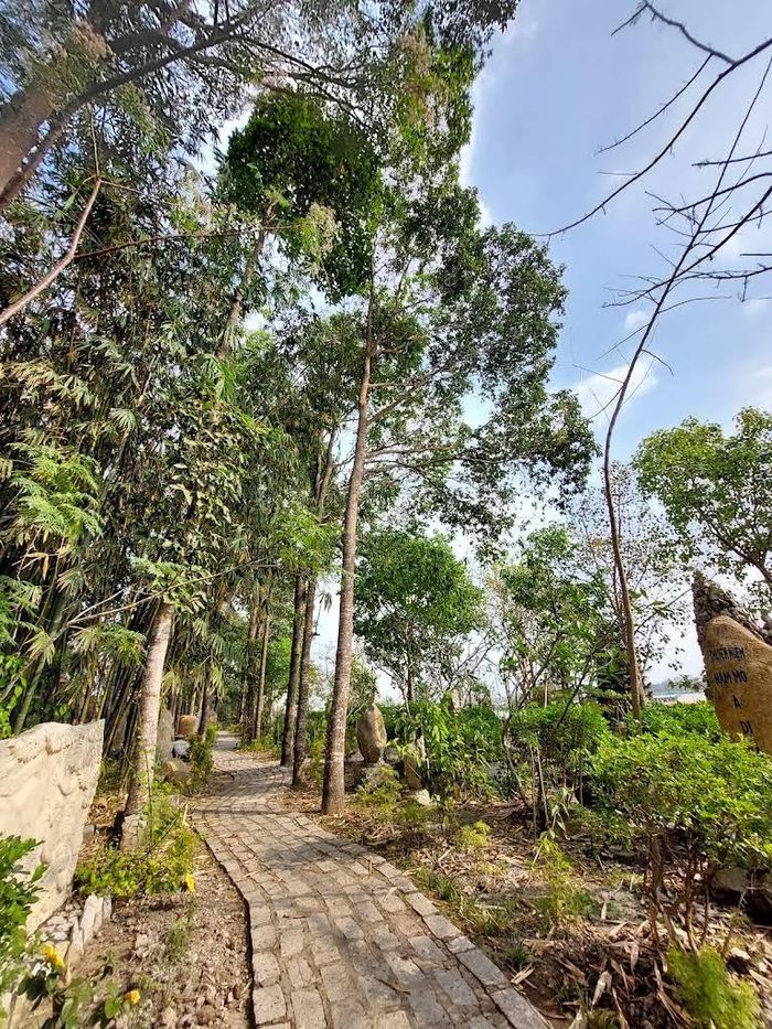 Không gian yên bình của Chùa Phước Hậu, nơi hòa quyện giữa cảnh sắc miền Tây với những giá trị văn hóa, lịch sử và tâm linh. Ảnh: Tường Quang