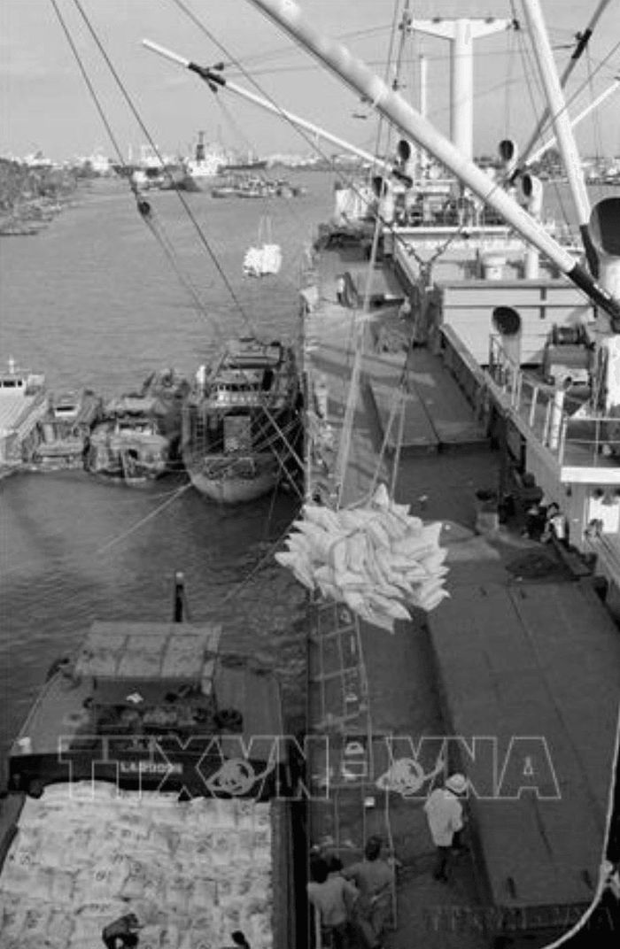Nghị quyết số 10-NQ/TW ngày 05/4/1988 của Bộ Chính trị khóa VI về Đổi mới quản lý kinh tế nông nghiệp (gọi tắt là Khoán 10) đã giải phóng sức sản xuất. Ngay năm đó, cả nước không phải nhập khẩu lương thực, và từ năm 1989, gạo Việt Nam bắt đầu xuất khẩu, góp mặt vào thị trường toàn cầu. Trong ảnh: Bốc xếp gạo xuất khẩu tại cảng Sài Gòn. Ảnh: TTXVN