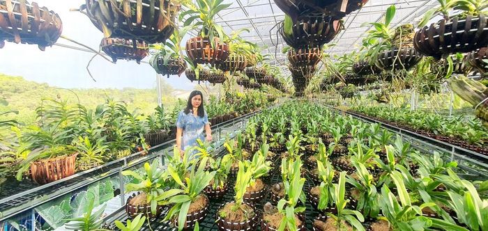 Bí thư Thành ủy Đà Nẵng yêu cầu chuyển mạnh tư duy từ sản xuất nông nghiệp sang kinh tế nông nghiệp, chú trọng nâng cao giá trị, chất lượng (Ảnh C. Thái)