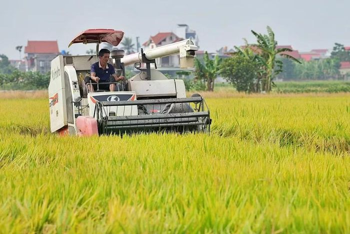Đã có 22 tỉnh, thành phố ban hành kế hoạch hành động sản xuất giảm phát thải.
