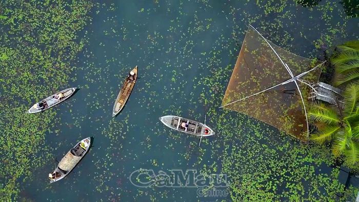 Các điểm du lịch sinh thái tại vùng đệm Vườn Quốc gia U Minh Hạ là nơi lý tưởng để du khách hoà mình vào thiên nhiên.