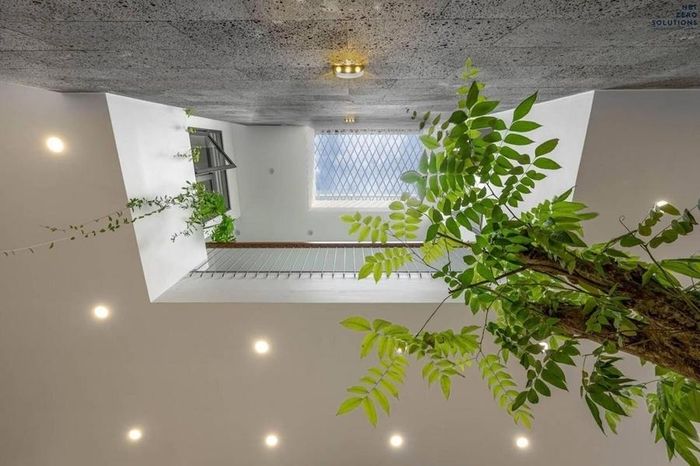 Giếng trời chạy dọc từ các tầng lên đến mái nhà. (Ảnh: Tostemvietnam)