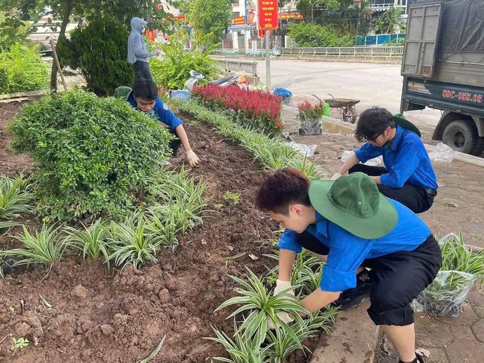 Sinh viên Trường Đại học Mở Hà Nội trồng cây làm đẹp cảnh quan môi trường. Ảnh: ĐHMHN.