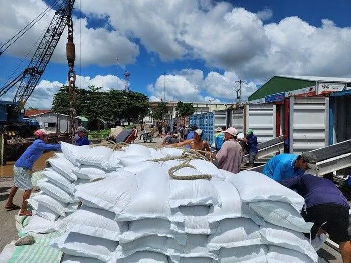 Giá gạo giảm nhẹ trong tháng 8