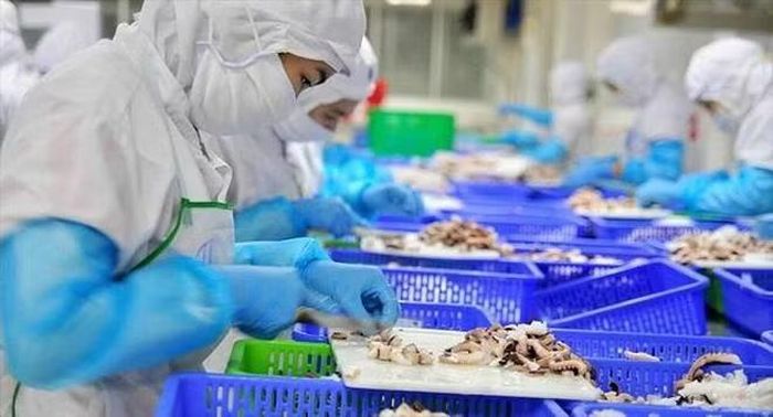 Xuất khẩu nông, lâm thuỷ sản trong 8 tháng đầu năm 2026 thu về hơn 49 tỷ USD