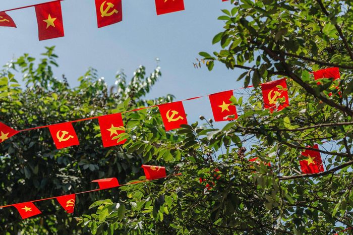 Vũng Tàu, Thảo Cầm Viên (TP.HCM) đông đúc du khách, quang cảnh Hà Nội bình yên trong kỳ nghỉ lễ 2/9. Ảnh: Quỳnh Danh, Duy Hiệu, Châu Sa.