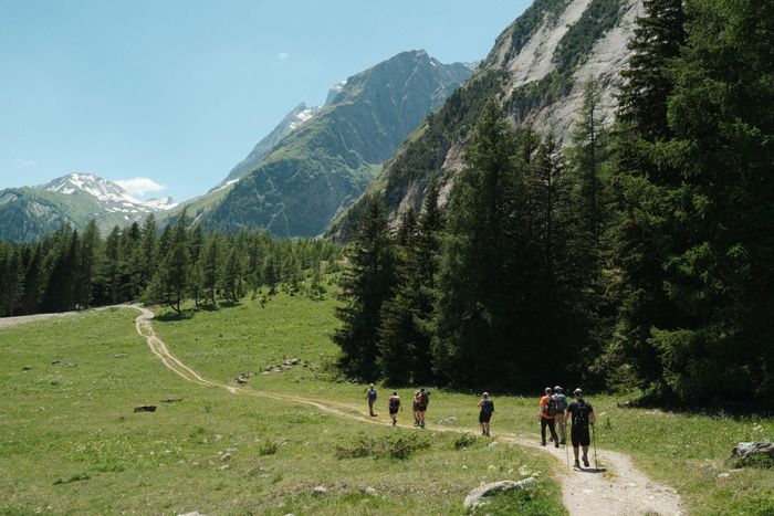 Chuyến đi bộ ngang qua dãy Alps của hãng luật Quinn Emanuel nhằm gắn kết nhân viên. Ảnh minh hoạ: Scott Barber/Pexels.