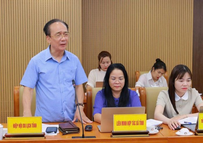 Lãnh đạo các xã, hiệp hội du lịch tỉnh phát biểu tại hội nghị