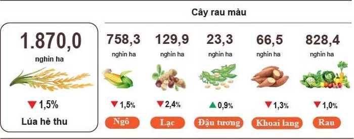 Diện tích gieo trồng một số cây hằng năm tính đến 20/8/2026. (Nguồn: Cục Thống kê, Bộ Tài chính)