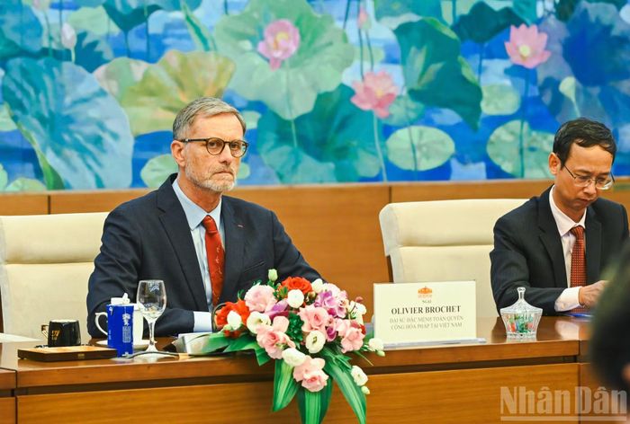 Đại sứ Pháp Olivier Brochet phát biểu tại cuộc tiếp. (Ảnh: DUY LINH)