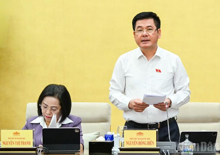 Phó Chủ tịch Quốc hội Nguyễn Hồng Diên phát biểu tại phiên họp. (Ảnh: DUY LINH)