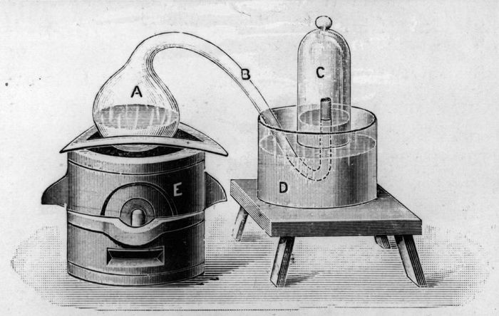 Ảnh: Wikimedia Commons 