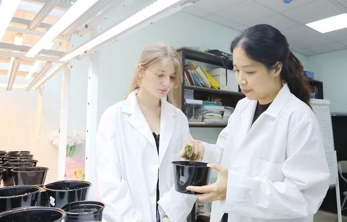 Giảng viên Trường Đại học Công nghệ (ĐH Quốc gia Hà Nội) hướng dẫn sinh viên quốc tế.