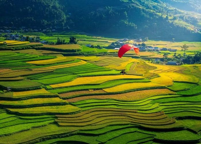 Hoạt động dù lượn "Bay trên mùa vàng" tại xã Tú Lệ.