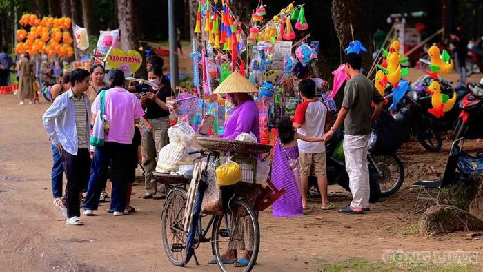 Không chỉ là điểm đến check-in "gây sốt", Ao Bà Om từ lâu đã là chốn yên bình lý tưởng cho những người yêu thiên nhiên.