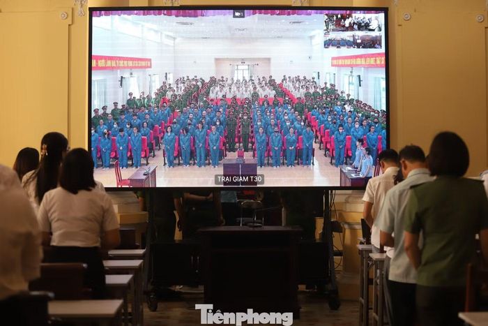 Theo cáo trạng, vụ án gồm nhiều nhánh, liên quan đến các đường dây mua bán, vận chuyển, tàng trữ và tổ chức sử dụng trái phép chất ma túy với hàng trăm bị cáo.Trước đó, Viện KSND TPHCM đề nghị mức án từ 24 tháng tù đến tử hình đối với 227 bị cáo, trong đó 9 bị cáo bị đề nghị mức án cao nhất.
