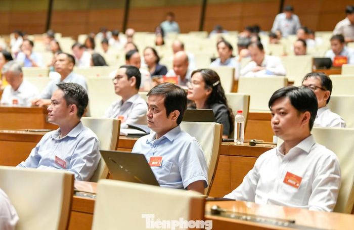  Các đại biểu dự hội nghị. Ảnh: Như Ý. 