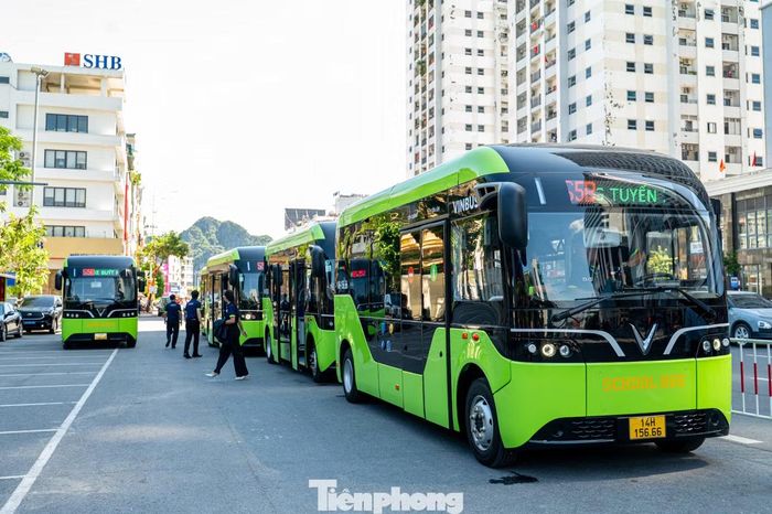Theo đại diện Vinbus, có 50 xe buýt được đưa vào phục vụ. Đã có gần 2.000 học sinh tại 22 cơ sở giáo dục trên địa bàn 3 phường đăng ký sử dụng dịch vụ xe bus điện miễn phí 100% theo chương trình đưa đón của Thành phố đã được HĐND TP Quảng Ninh (trước là tỉnh Quảng Ninh) khóa XV thông qua ngày 25/8/2026, tại Kỳ họp thứ 7.