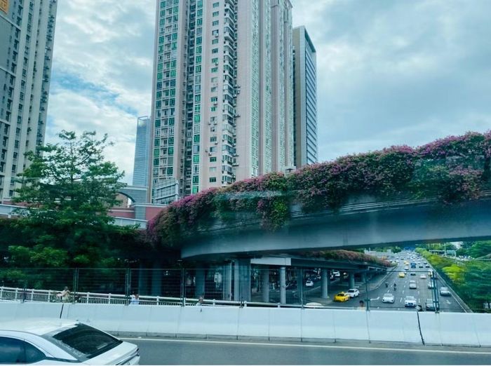 Quảng Châu được gọi là thành phố hoa. Hoa có quanh năm và ở khắp mọi nơi. Ảnh: Tư Hiền.