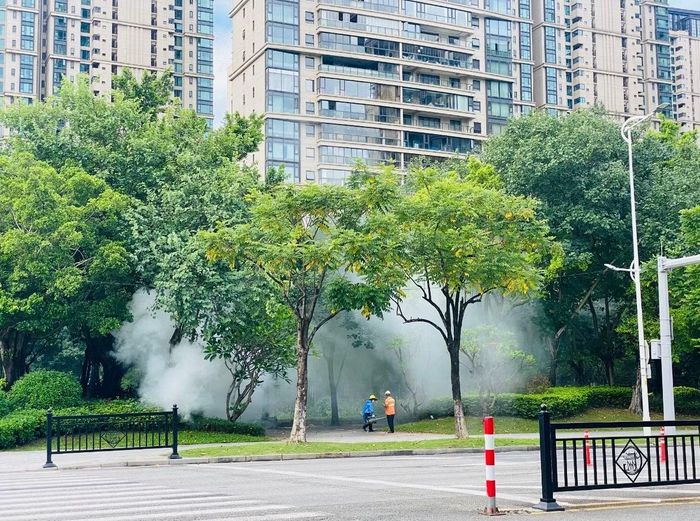 Công nhân xông khói khử trùng khu vực rậm rạp sát khu nhà ở-văn phòng. Ảnh: Tư Hiền.