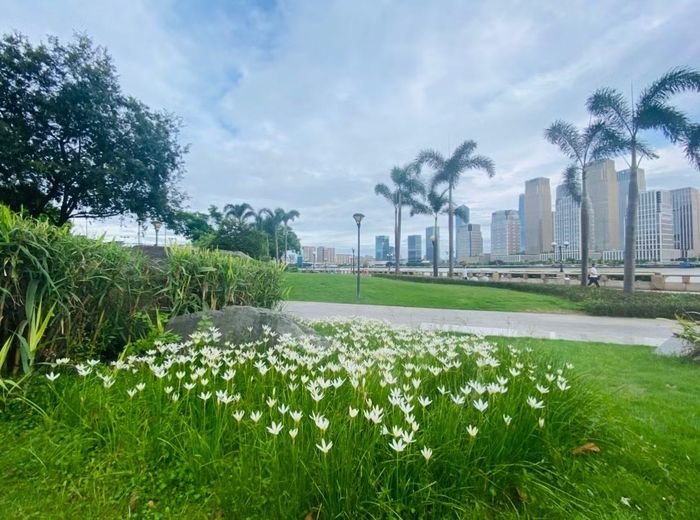 Những mảng xanh như này có mặt khắp nơi ở Quảng Châu. Ảnh: Tư Hiền.