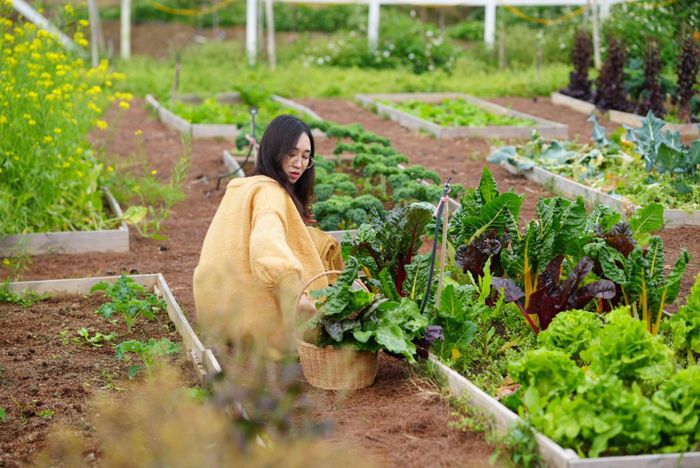 Cô gái trẻ sống tích cực hơn khi đến Mộc Châu