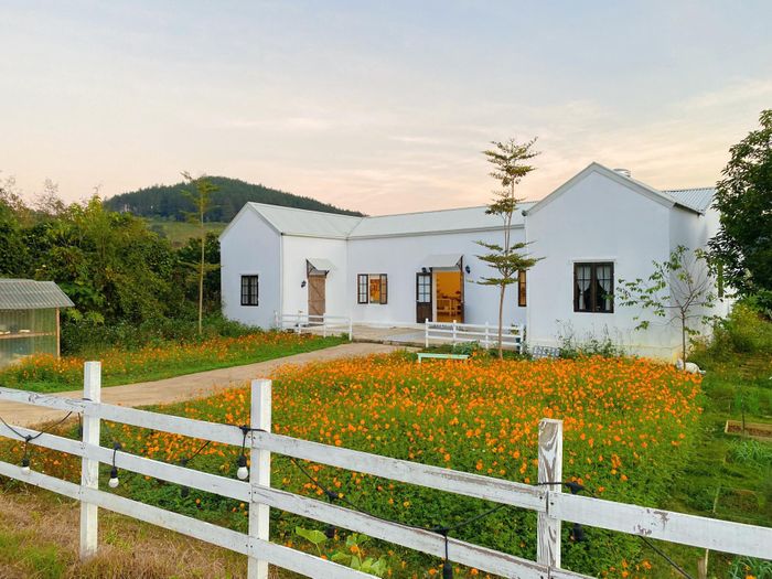 Chị Linh rời phố lên núi, cải tạo căn nhà cũ rộng 200m2 thành homestay theo phong cách đồng quê châu Âu
