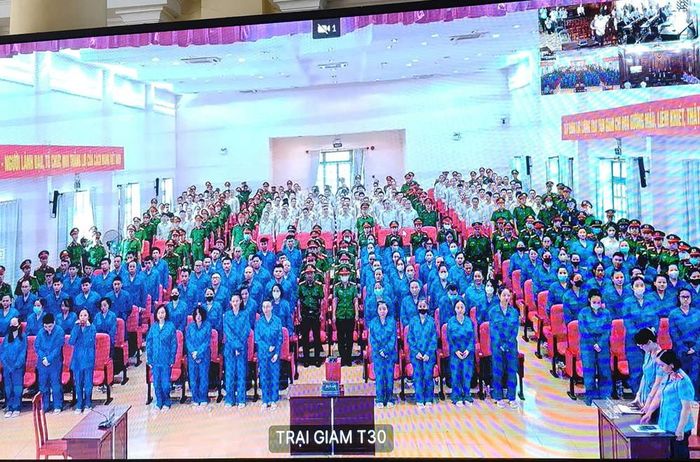 Các bị cáo tại tòa. Ảnh: TP
