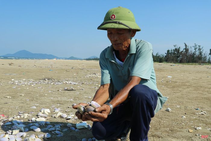 Ông Nguyễn Văn Thế (thôn Mỹ Hoà, xã Yên Hoà) cho biết: “Ban đầu khi mới trôi dạt vào bờ, xen lẫn với lớp vỏ vẫn có một số ngao tím có ruột còn sống và một số con có ruột đã chết, phân hủy. Người dân mong địa phương và cơ quan chức năng sớm kiểm tra để làm rõ nguyên nhân; đồng thời xử lý để làm sạch bãi biển, bảo đảm vệ sinh môi trường".