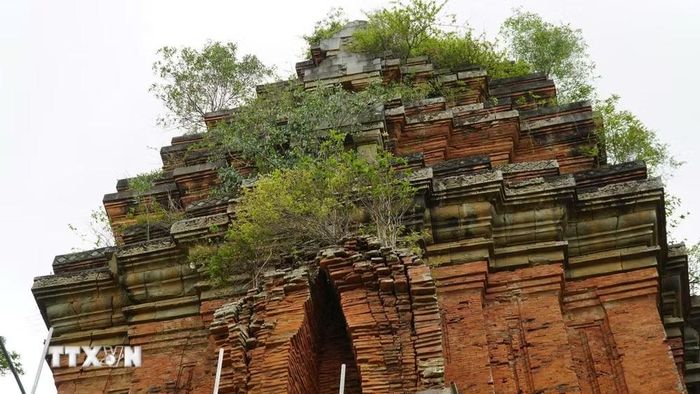 Phần mái của tháp. (Ảnh: Sỹ Thắng/TTXVN)