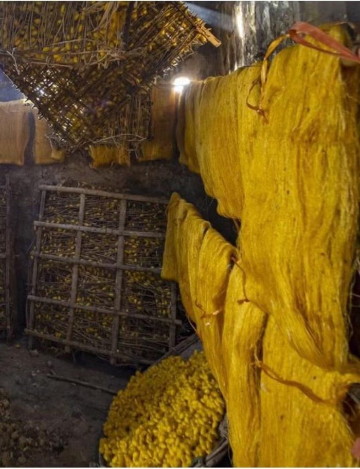 Sau khi kéo tơ, các cuộn tơ thô sẽ được phơi khô. (Ảnh: Vietnam+)