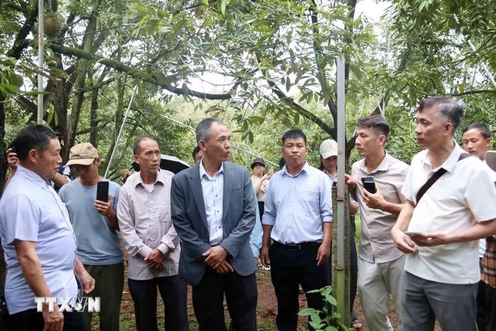Đại diện Ủy ban Nhân dân xã Ea Knuếc giới thiệu đến du khách về những tiềm năng, thế mạnh của địa phương nói chung và sầu riêng nói riêng trong khuôn khổ Lễ hội. (Ảnh: Hoài Thu/TTXVN)