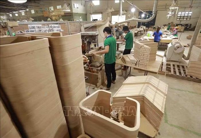 Sản xuất gỗ ván ép cong xuất khẩu tại nhà máy của Công ty TNHH Gỗ ván ép Nhật Nam, TP Hồ Chí Minh. Ảnh: Vũ Sinh/TTXVN