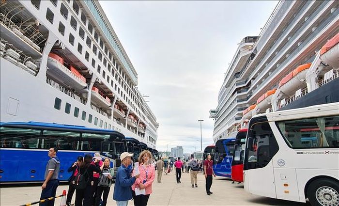 Hai siêu du thuyền hạng sang Westerdam (quốc tịch Hà Lan) và Star Voyager (quốc tịch Bahamas) chở hơn 3.100 hành khách và thuyền viên đến với vùng di sản Quảng Ninh. Ảnh: Văn Đức/TTXVN