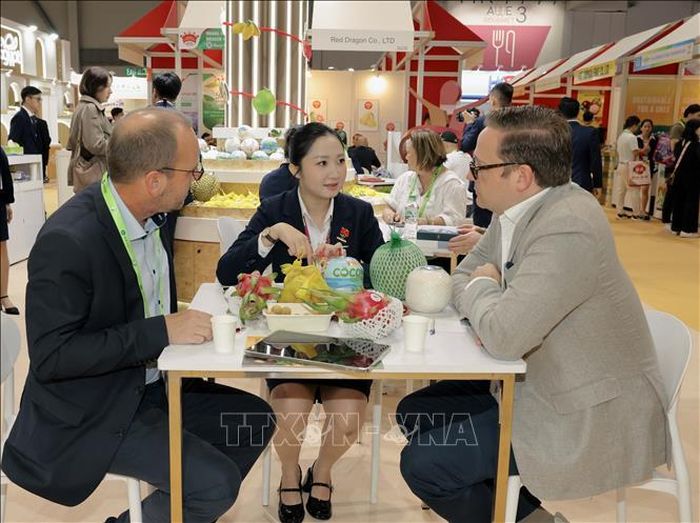 Khách hàng quốc tế nghe giới thiệu và tìm hiểu cơ hội hợp tác nhập khẩu trái cây với doanh nghiệp Việt Nam. Ảnh: Xuân Vịnh/Phóng viên TTXVN tại Hong Kong (Trung Quốc)