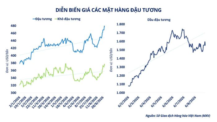 Diễn biến giá các mặt hàng đậu tương.