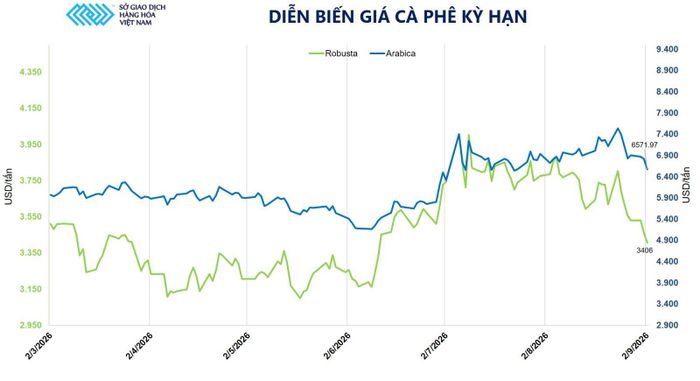 Diễn biến giá cà phê kỳ hạn.