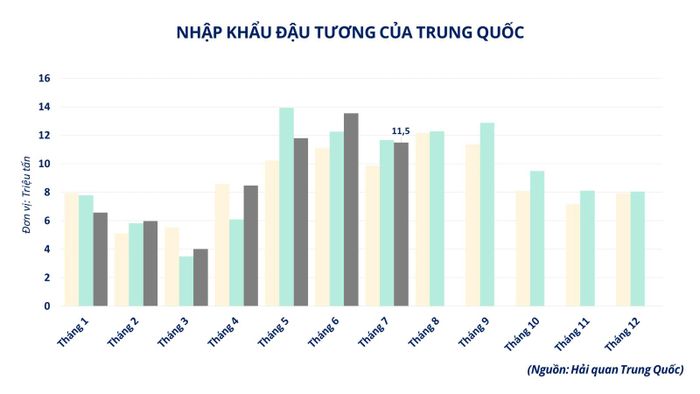 Nhập khẩu đậu tương của Trung Quốc.