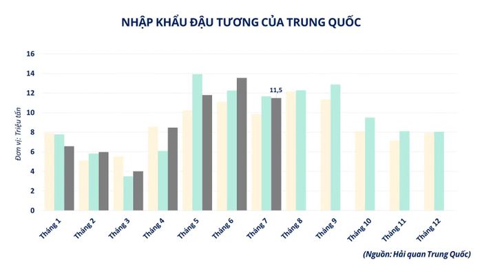 Nhập khẩu đậu tương của Trung Quốc.
