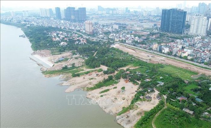 Sau khi hoàn thành, Công viên công cộng Phú Thượng được kỳ vọng trở thành “lá phổi xanh” ven sông phía Bắc Thủ đô, Ảnh: Quốc Khánh/TTXVN