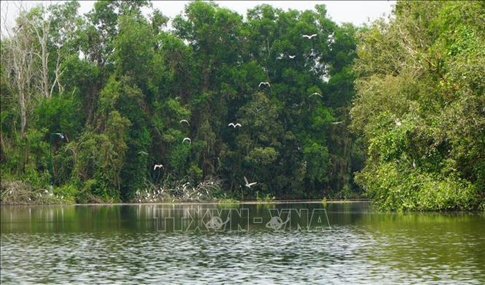 Khu bảo tồn sinh thái Đồng Tháp Mười là nơi trú ngụ, sinh sản của nhiều loài chim, cò.