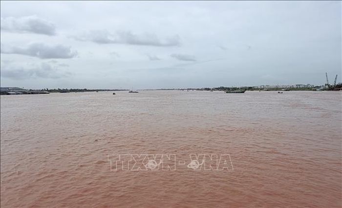 Nước phù sa từ thượng nguồn sông Mê Kông đổ về trên sông Hậu qua khu vực phường Long Xuyên (tỉnh An Giang) mang theo màu đỏ đục đặc trưng của mùa lũ.