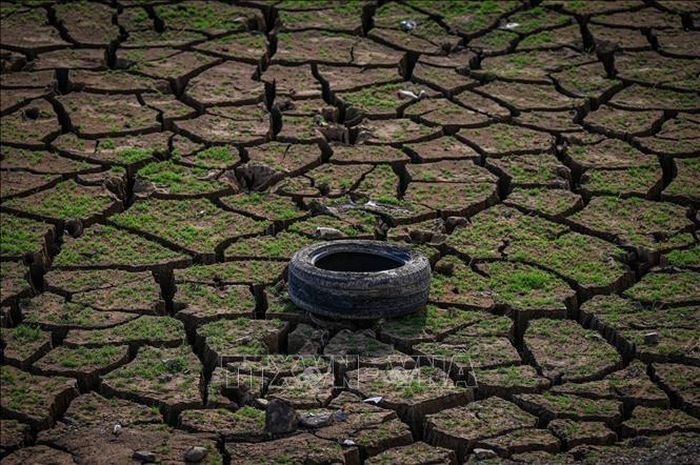 Mặt đất khô nứt nẻ do nắng nóng tại Nueva Ecija, Philippines. Ảnh tư liệu: AFP/TTXVN