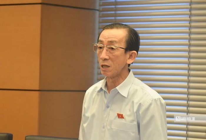 ĐBQH Trần Hoàng Ngân (Đoàn Tp.HCM).