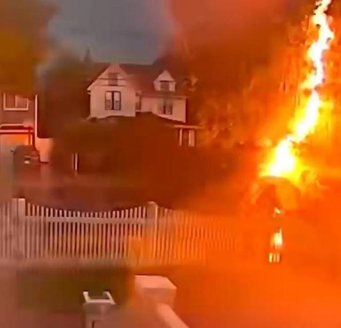 Thomas Fahmy bị sét đánh ở Staten Island. Nguồn: WNBC