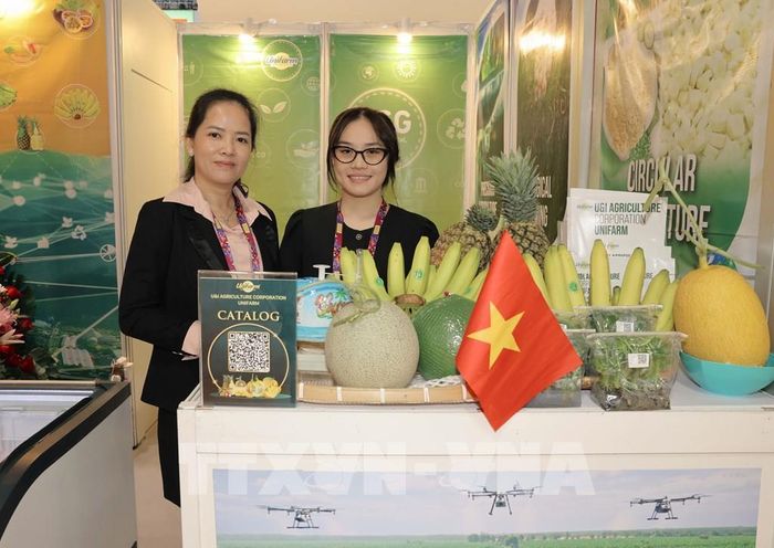 Một gian trưng bày của Việt Nam tại hội chợ. Ảnh: Xuân Vịnh-Phóng viên TTXVN tại Hong Kong (Trung Quốc) 