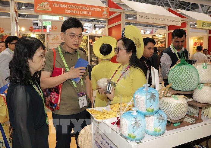 Khách hàng quốc tế tìm hiểu về đặc sản trái cây Việt Nam. Ảnh: Xuân Vịnh-Phóng viên TTXVN tại Hong Kong (Trung Quốc)